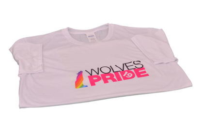 Picture of Custom T-Shirts