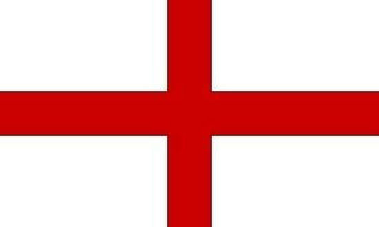 Picture of Large MESH England Flags