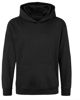 Picture of Leavers  Hoodies