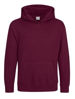 Picture of Leavers  Hoodies