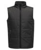 Picture of Standard Body Warmers (Adult)