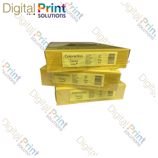 Picture of Tints A4 80gsm