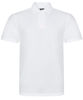 Picture of Value Polo (Adults)