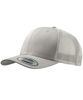 Picture of Retro Trucker Cap