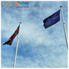 Picture of Flags