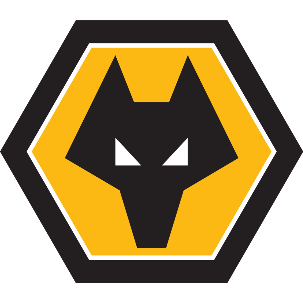 Wolverhampton Wanderers FC Case Study